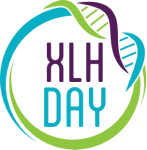 Xlhdaybrasil